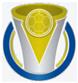Brazil Campeonato Maranhense logo