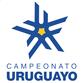 Uruguay Primera Division logo
