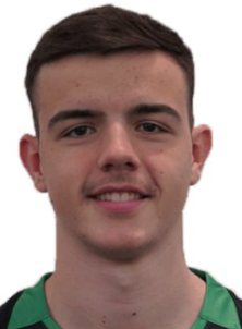 尼古拉斯·米兰诺维奇