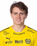 路德维格·卡利乌斯