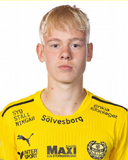 奥托·罗森格伦