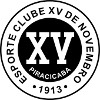 XV de Piracicaba (Youth)