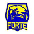 Forte FC Youth
