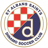 St. Albans Saints U20