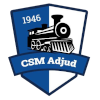 CSM Adjud