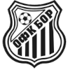 Bor 1919