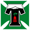 特木科(主)