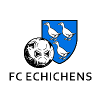 伊奇琛斯logo