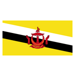 汶萊(主)