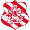 賓古青年隊(主)