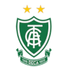 阿美利加明尼路女足logo