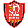 夏普尔乌姆法咸姆logo