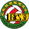 波勒辛卡logo