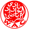外傣(主)