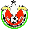 未来FC(主)